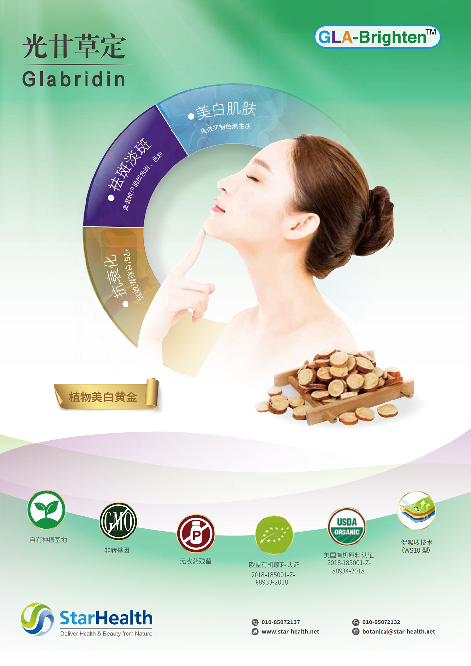 光甘草定40W - Glycyrrhiza glabra